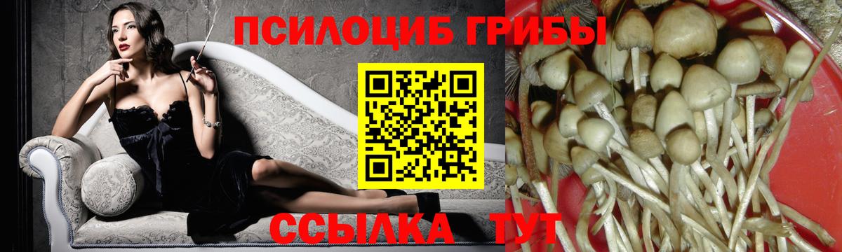 Галлюциногенные грибы Cubensis Нурлат